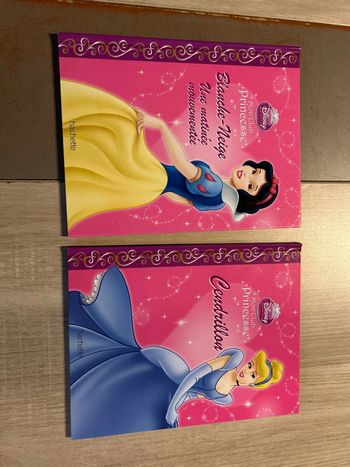 Livre Disney princesse