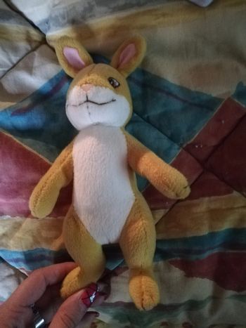 Peluche lapin