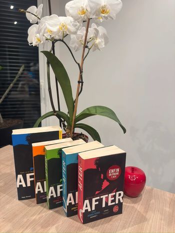 Lot After tome 1 à 5 - Anna Todd