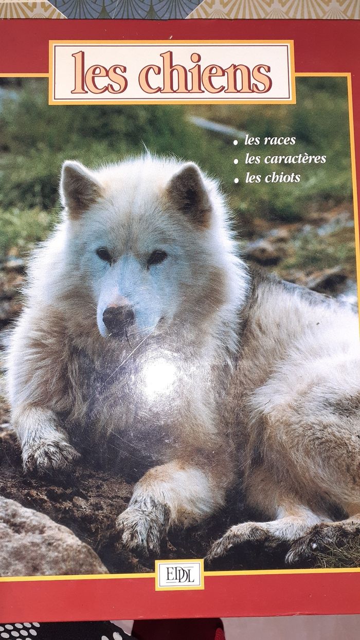 Livre chiens les races - photo numéro 2