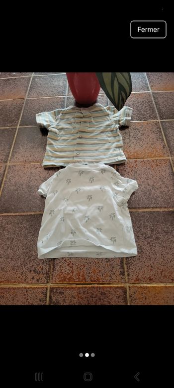 Lot 2 Tee-shirt manches courtes