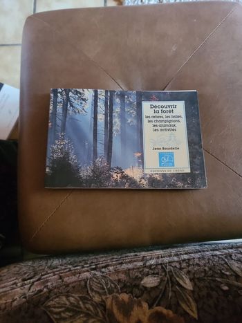 Découvrir la forêt