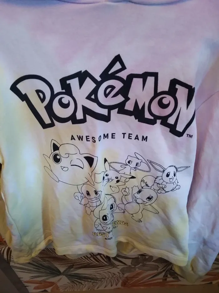Sweat pokémon - photo numéro 2