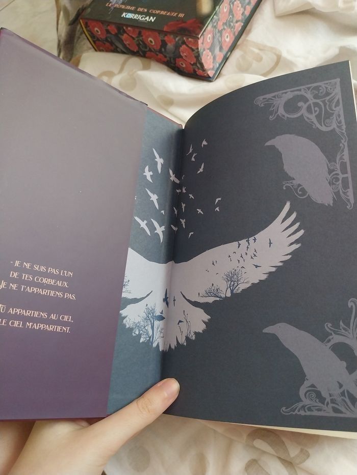 Romans Le Royaume des Corbeaux tomes 1 à 3 Reliés Collectors Olivia Wildenstein Korrigan - photo numéro 5