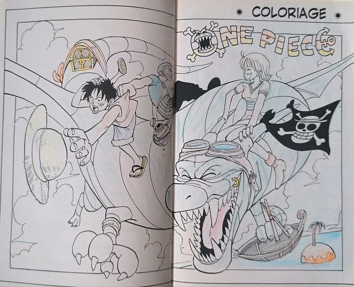 Livres One Piece - photo numéro 4