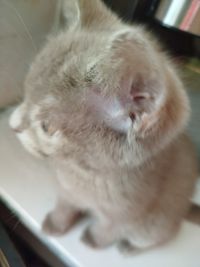 profil