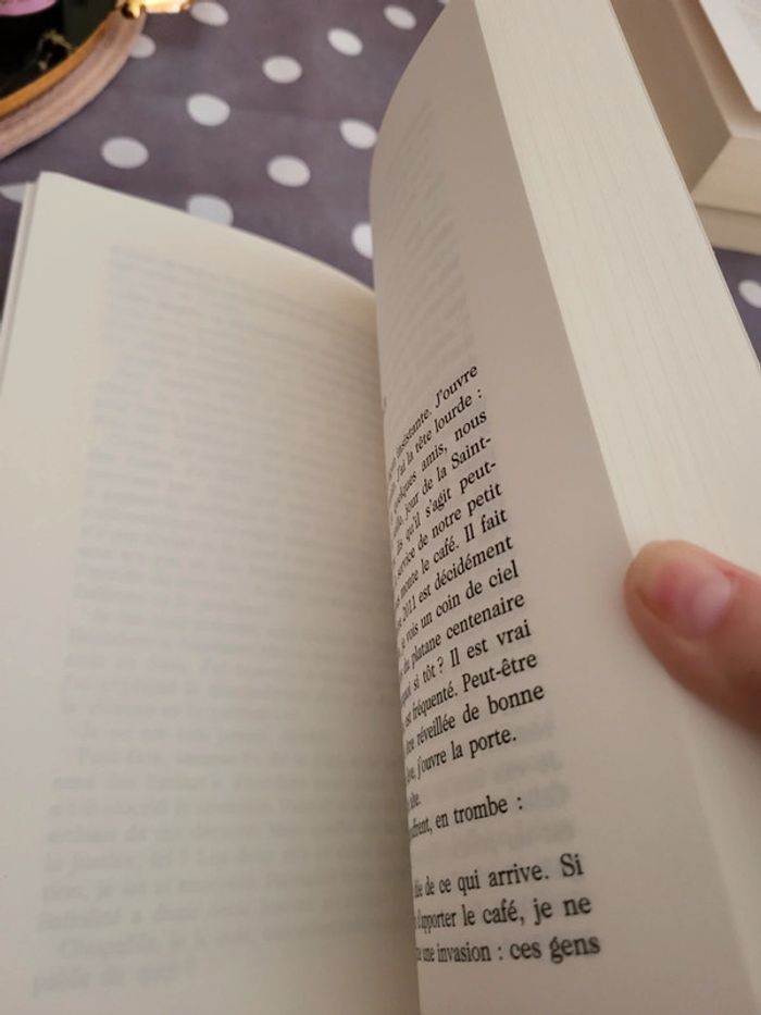 Livre "Flic" Michel Neyret - photo numéro 7