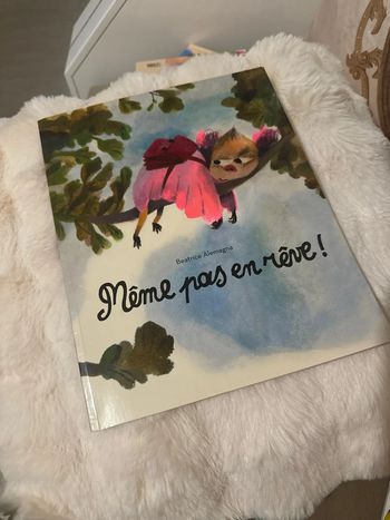 Livre quasi neuf lu une fois même pas en rêve