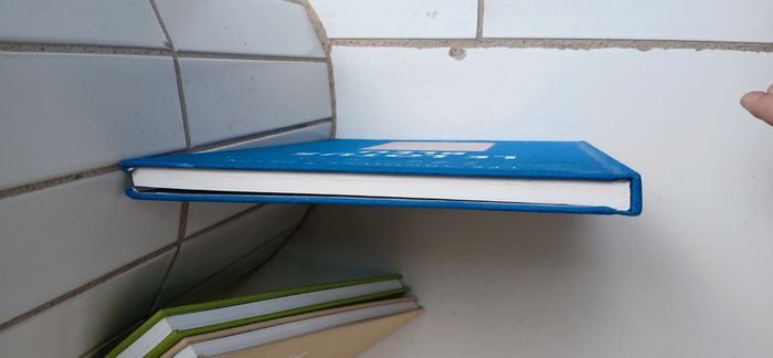 Les Archives de Tintin Bande Dessinée " Le Lotus Bleu " - photo numéro 2