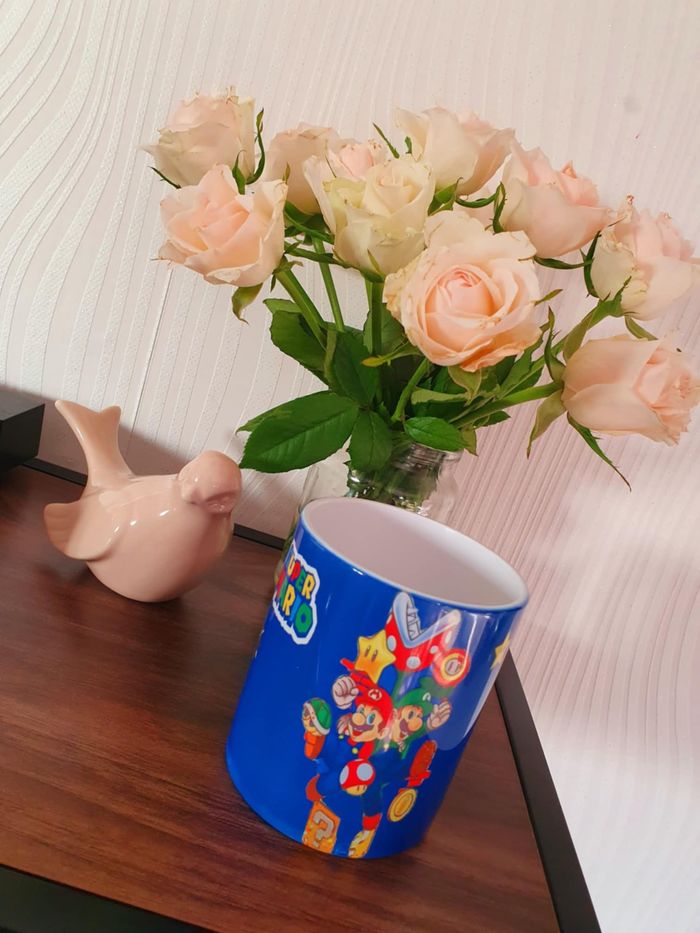 mug mario
