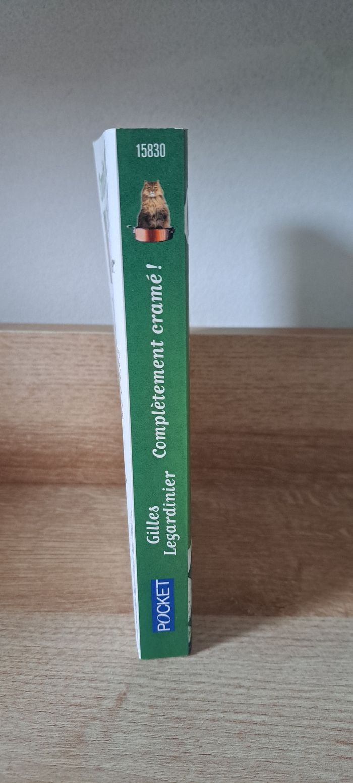 Complètement cramé - photo numéro 4