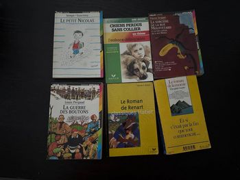 Lot livres de poche