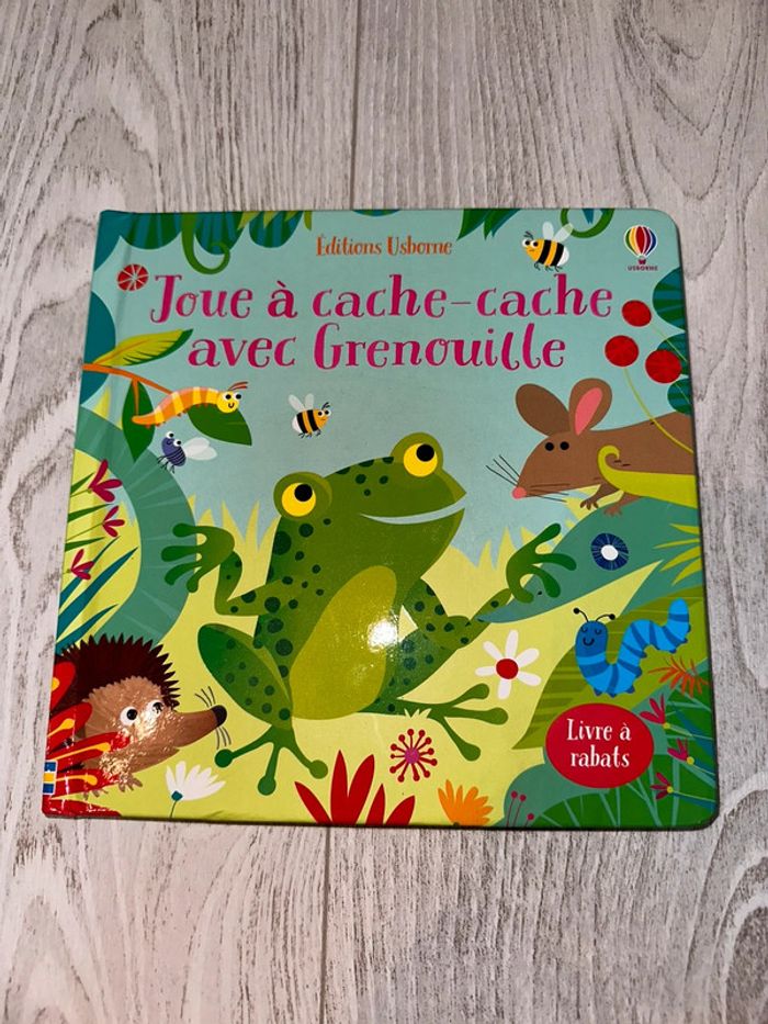 Livre joue à cache cache avec Grenouille
