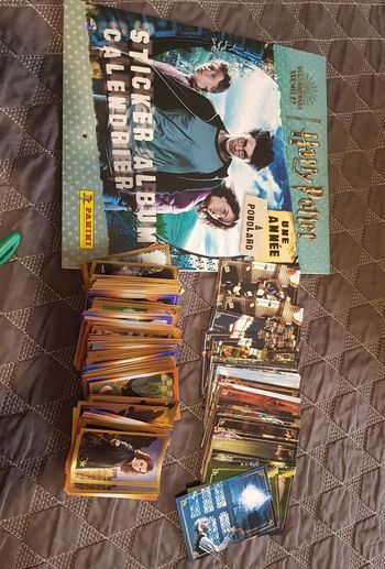 Une année a Poudlard panini Harry Potter 