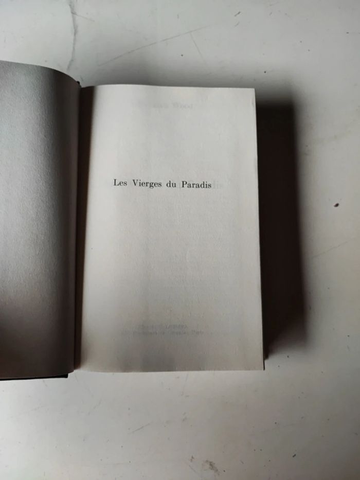 Livre les vierges du paradis - photo numéro 2