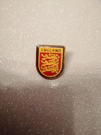 Pin's