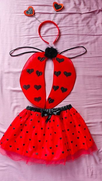Déguisement coccinelle claire's