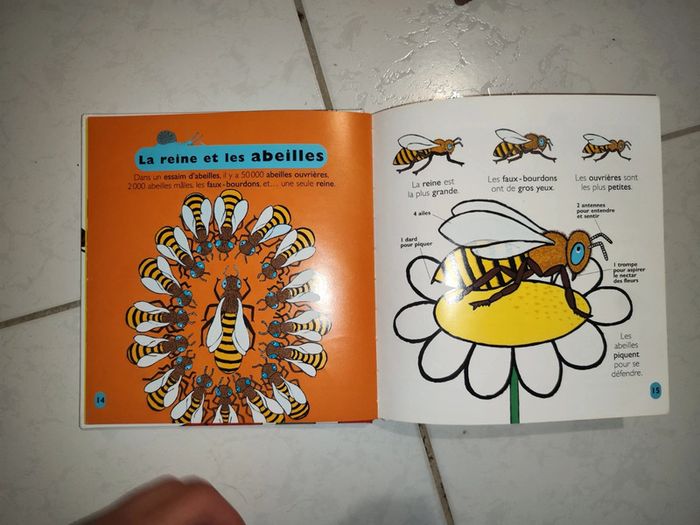 Livre mes petites encyclopédie Larousse les petites bêtes - photo numéro 4