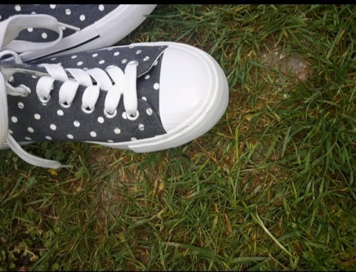 Basket - photo numéro 8