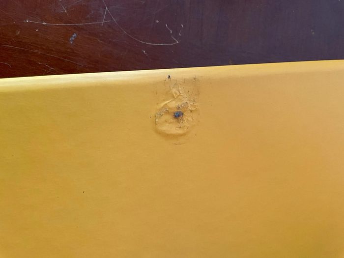 Le corps humain et l’éducation à la santé cycle 3 éditions sed - photo numéro 16