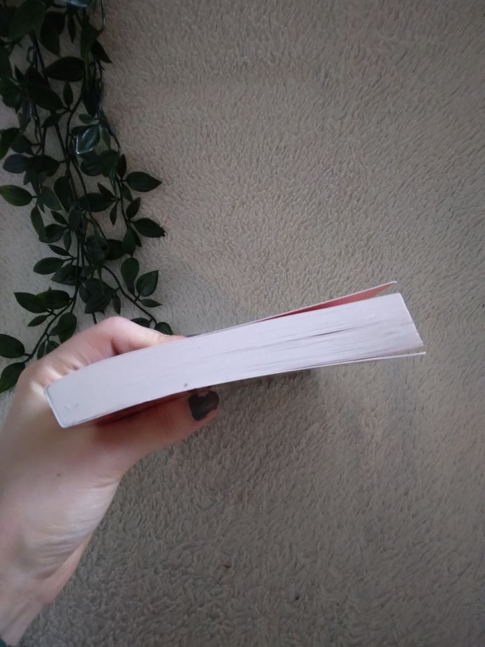 Livre Lupin échec à la reine - photo numéro 2