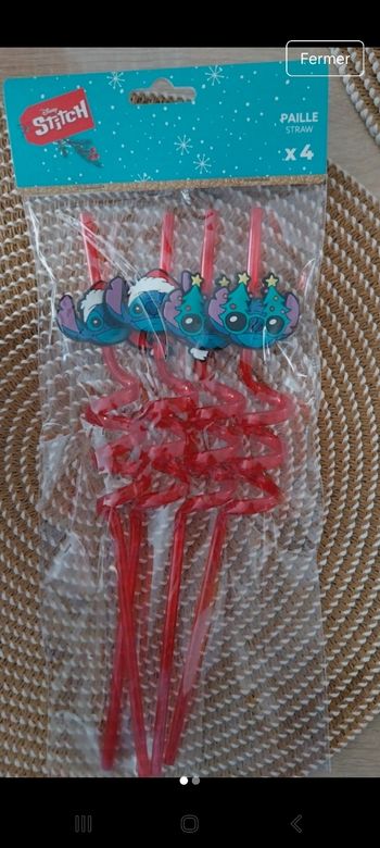 Piaille Stitch Noël