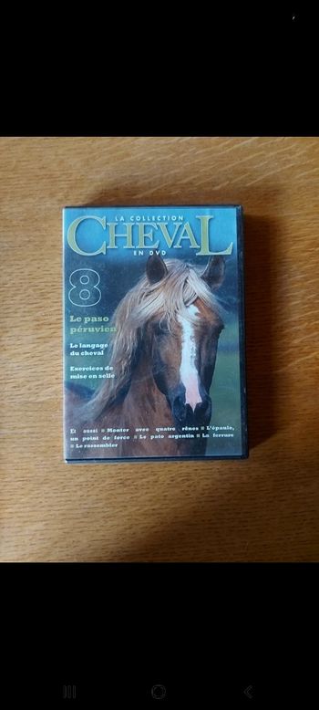 DVD
