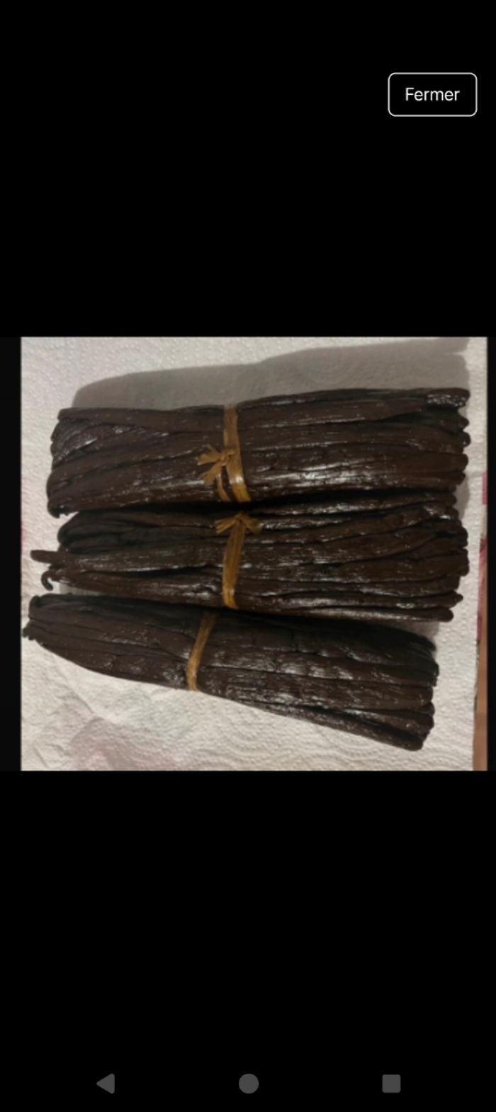 Gousse de vanille - photo numéro 3