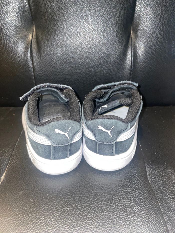 Puma noir - photo numéro 4