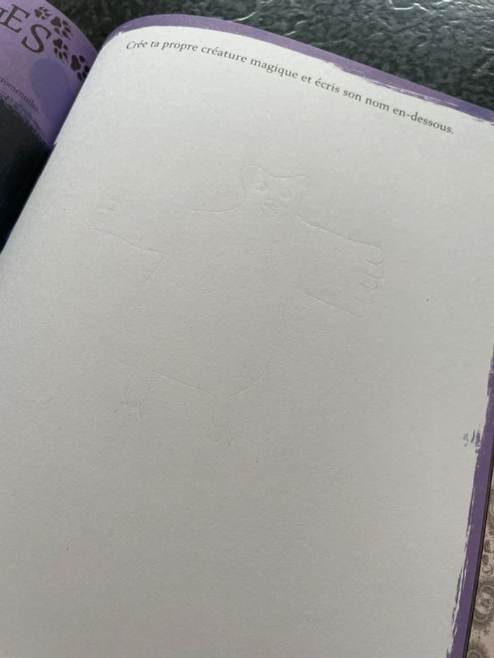 Livre Harry Potter « Poudlard le manuel des élèves - photo numéro 9