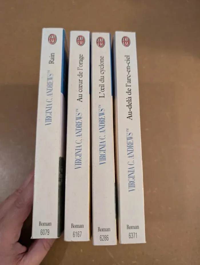 Livres "La famille Hudson" de Virginia C. Andrews - photo numéro 3