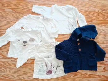 Lot de petits tee-shirts manches longues aux animaux et gilet léger à capuche en maille douce