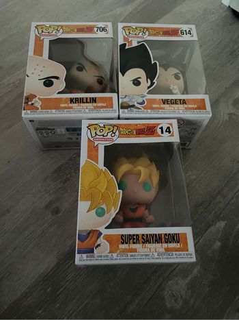 Pop Dbz