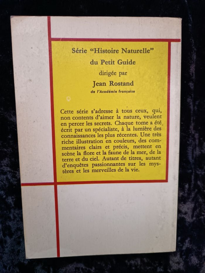 Petit guide coquillages - photo numéro 4