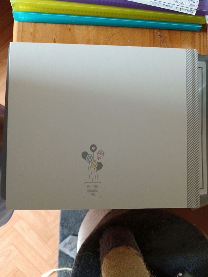 Livre de naissance - photo numéro 2