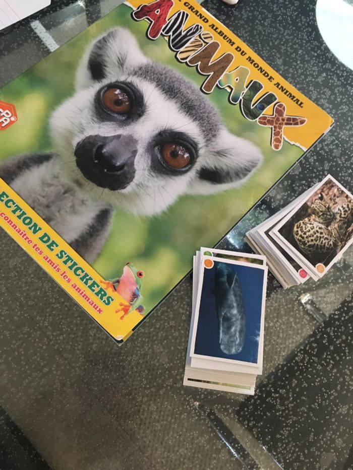 Panini animaux - photo numéro 3