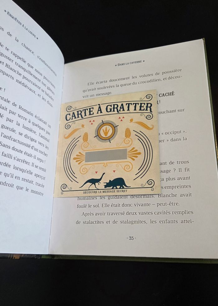 Livre Enquête à la loupe - photo numéro 3