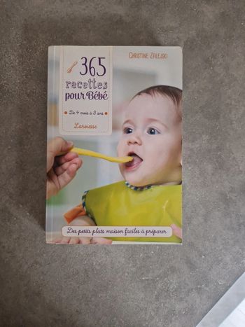 Livre 365 recette pour bébé bon état larousse