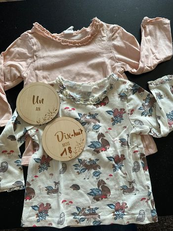 Lot 2 tee shirt manches longues H&M 12/18 mois