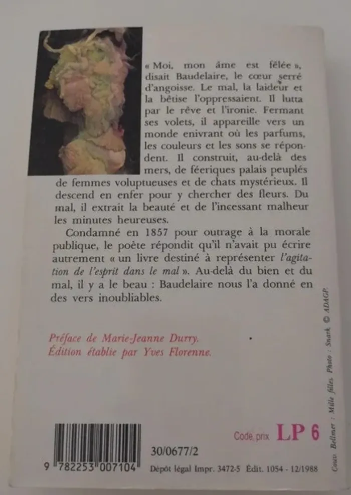 Les fleurs du mal baudelaire - photo numéro 2