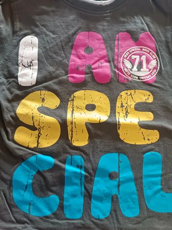 Tee shirt palomino 110 cms