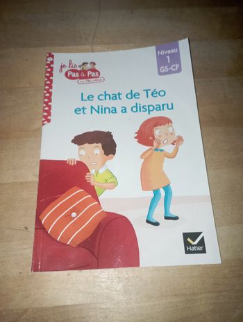 Livre Le chat de Teo et Nina a disparu 