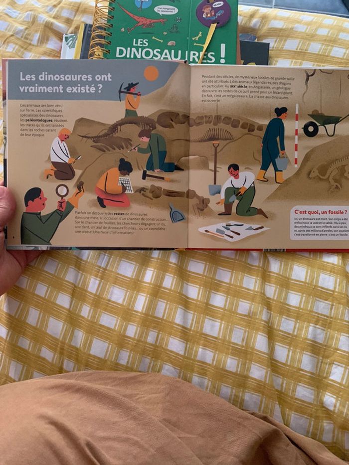 Livre docu "Mes p'tites questions : les dinosaures" / Milan - photo numéro 3