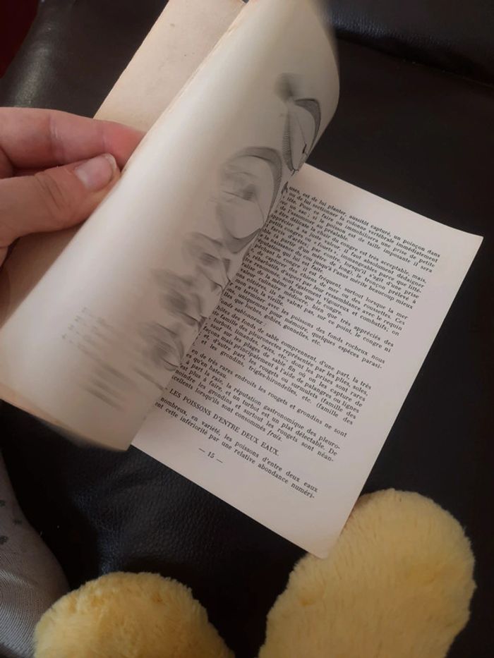 Lot de 2 livre pratique pêche - photo numéro 10