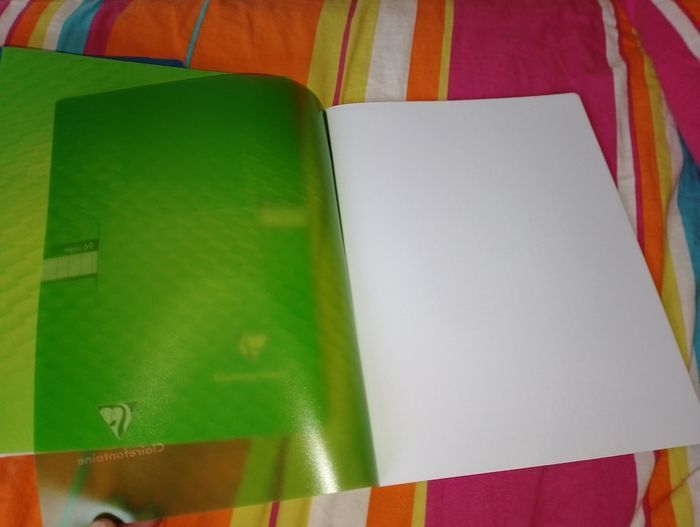 Lot de 12 cahiers 24x32 clairefontaine neuf - photo numéro 2