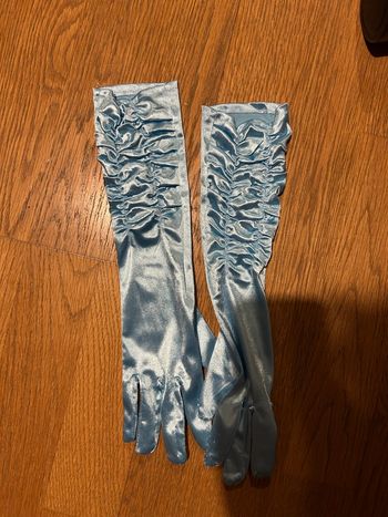 Gant déguisement 20€