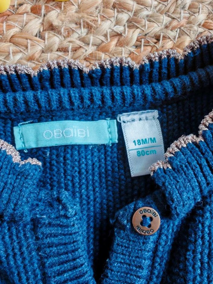 Gilet bleu - photo numéro 2