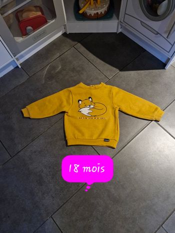 Pull 18 mois