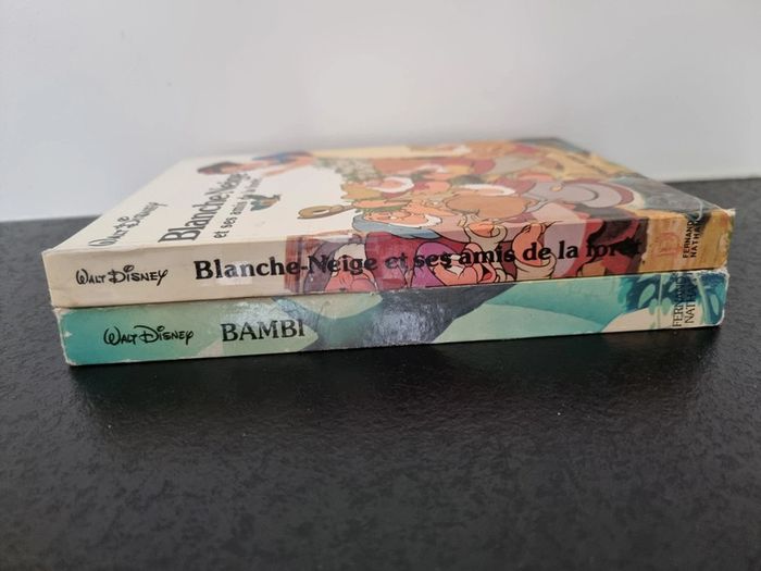 Lot de 2 livres anciens Disney - photo numéro 5