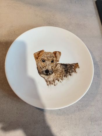 Assiette en porcelaine de limoges ancienne 